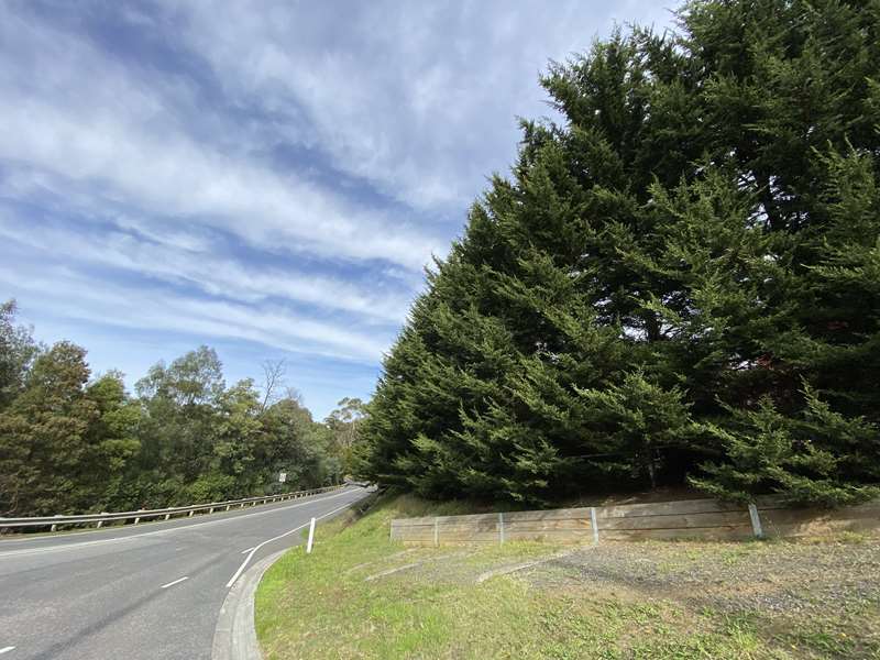 The Avenues of Honour (City of Casey)