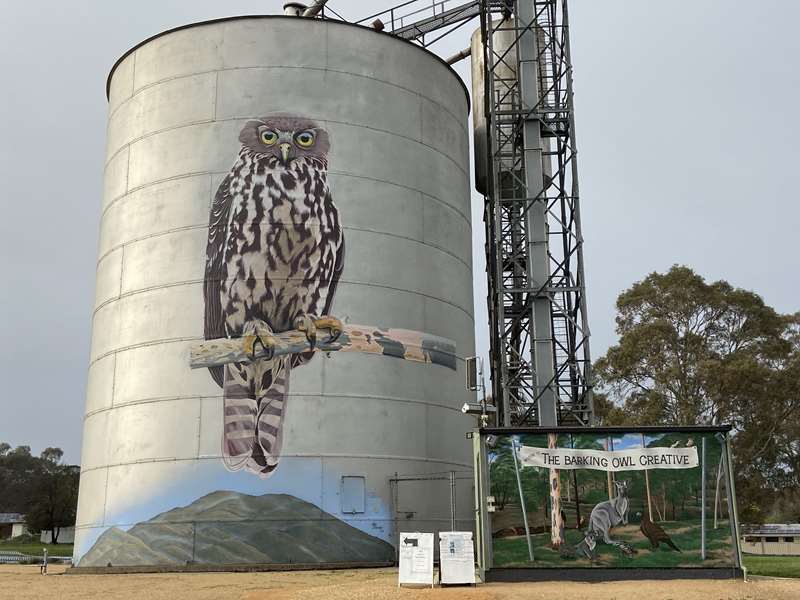 Avoca - Silo Art