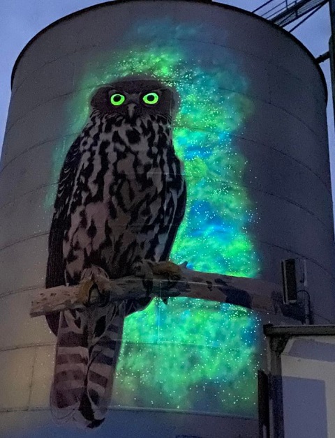 Avoca - Silo Art