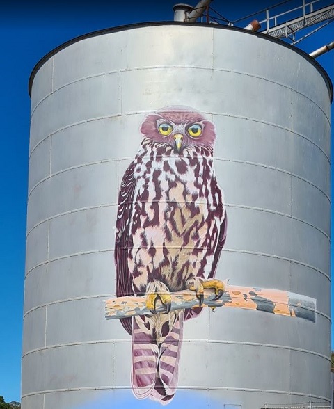 Avoca - Silo Art
