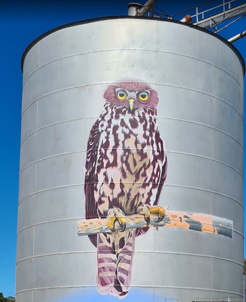 Avoca - Silo Art