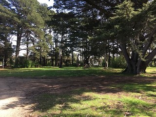 B. A. Cairns Recreation Reserve Dog Off Leash Area (Flinders)