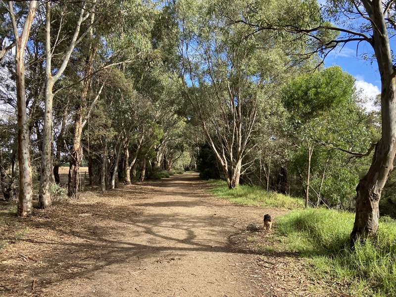 Bacchus Marsh - Avenue of Honour River Circuit Walk