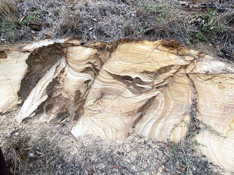 Bacchus Marsh Council Trench Geological Reserve (Triassic Park)