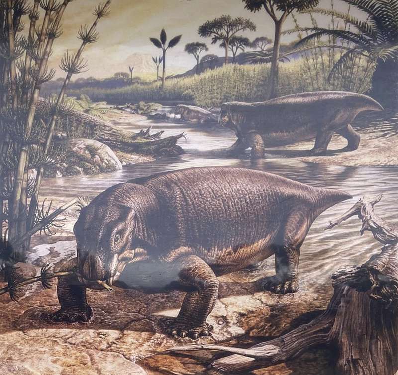 Bacchus Marsh Council Trench Geological Reserve (Triassic Park)