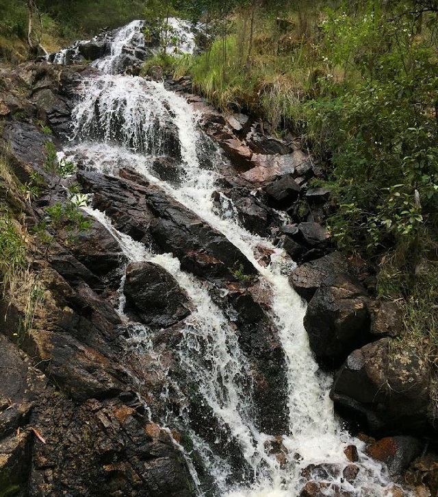 Bridge Creek - Back Creek Falls (Mount Samaria State Park)