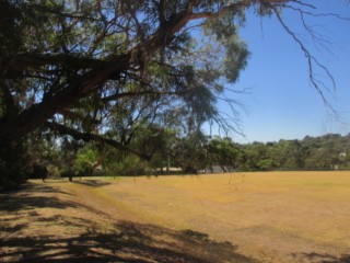 Baden Powell Reserve Dog Off Leash Area (Frankston South)