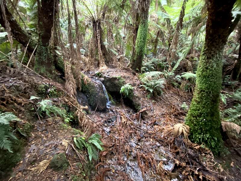 Badger Creek Weir Picnic Area and Walks
