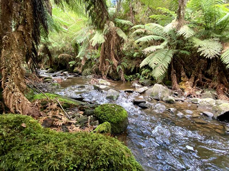 Badger Creek Weir Picnic Area and Walks