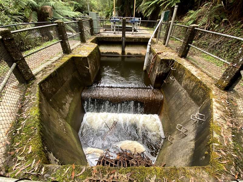 Badger Creek Weir Picnic Area and Walks
