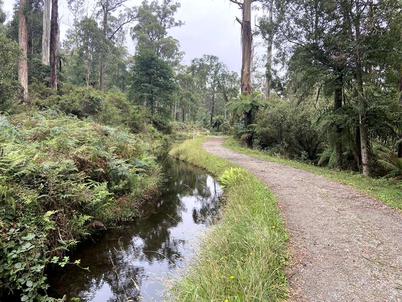 Badger Creek Weir Picnic Area and Walks