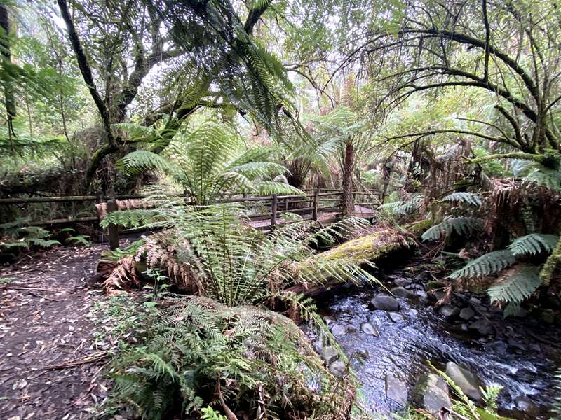 Badger Creek Weir Picnic Area and Walks