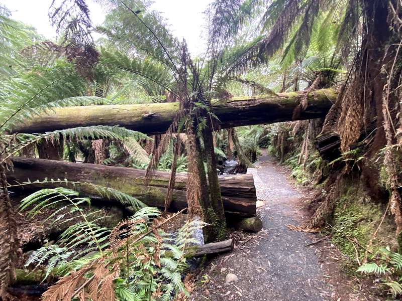 Badger Creek Weir Picnic Area and Walks