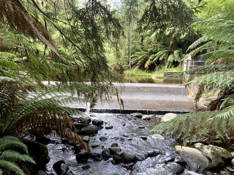 Badger Creek Weir Picnic Area and Walks