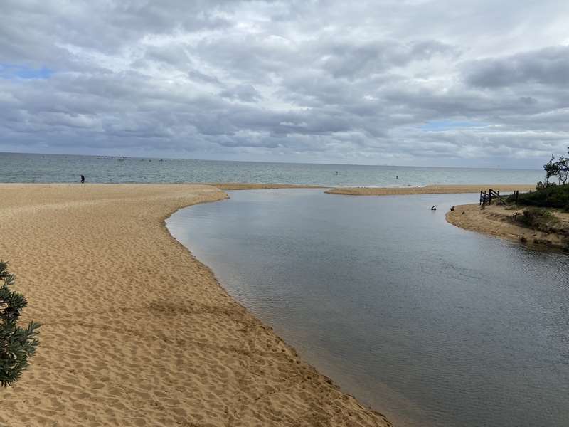 Balcombe Estuary Circuit Walk (Mount Martha)