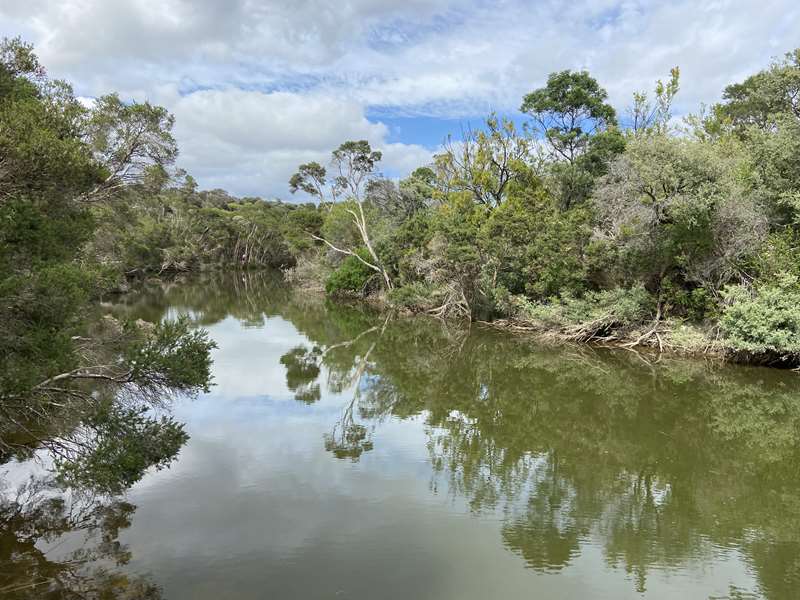 Balcombe Estuary Circuit Walk (Mount Martha)