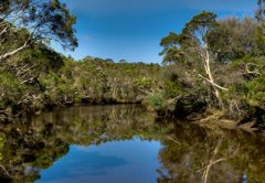 Balcombe Estuary Reserve (Mount Martha)