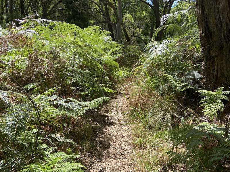 Baldry Crossing Circuit Walk (Main Ridge)