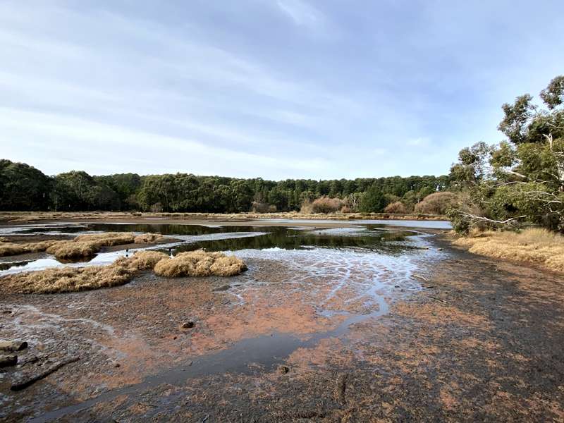 Ballarat - Yuilles Wetlands (Sebastopol)