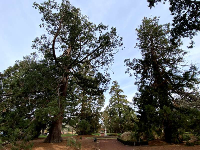 Ballarat Botanical Gardens (Lake Wendouree)