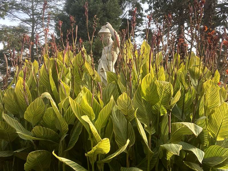 Ballarat Botanical Gardens Statues