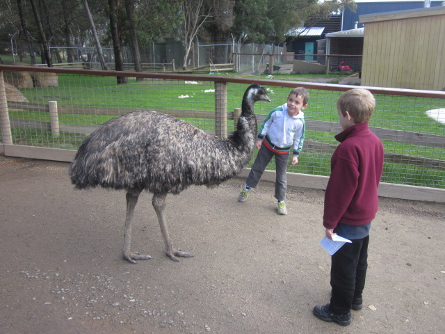 Ballarat Wildlife Park