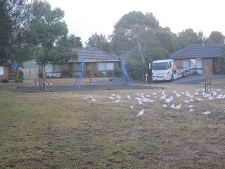 Balliol Common Playground, Sunbury