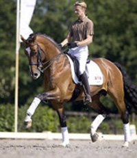 Balmoral Equestrian Centre (Narre Warren North)