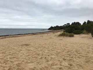 Balnarring Beach