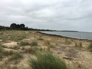 Balnarring West Beach (Balnarring Beach)