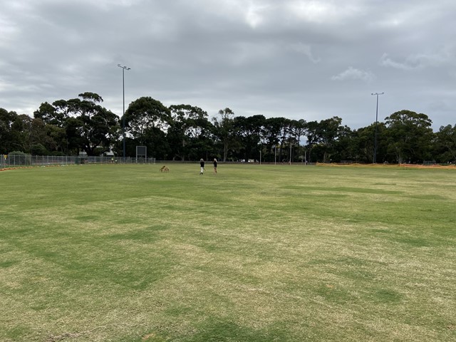 Banksia Reserve Dog Off Leash Area (Beaumaris)