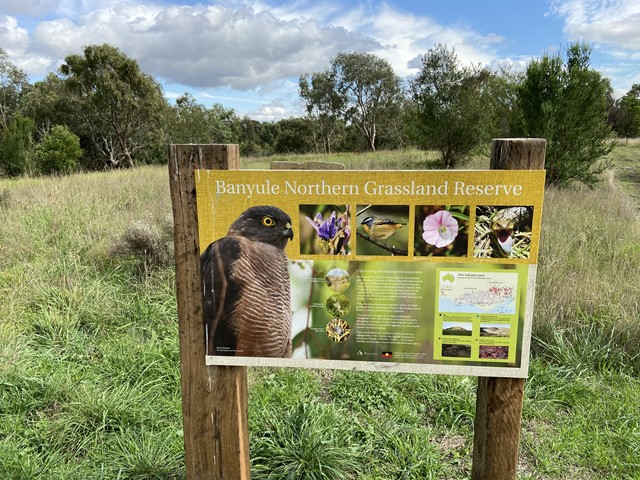 Banyule Northern Grassland Reserve Dog Off Leash Area (Heidelberg West)