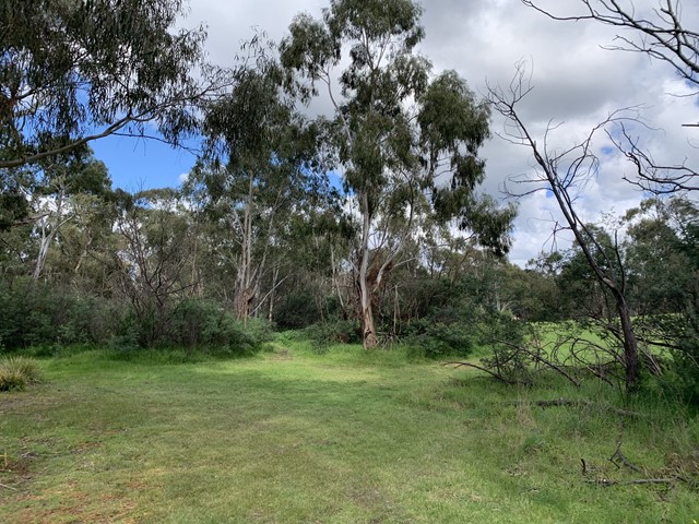 Barak Bushlands Park Dog Off Leash Area (Eltham)