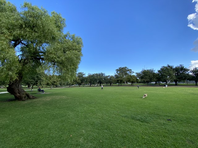 Barkly Gardens Dog Off Leash Area (Richmond)