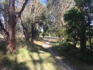 Barngeong Reserve Dog Off Leash Area (Croydon)