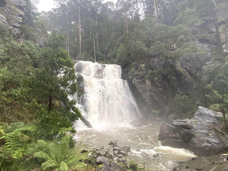 Barramunga - Stevensons Falls