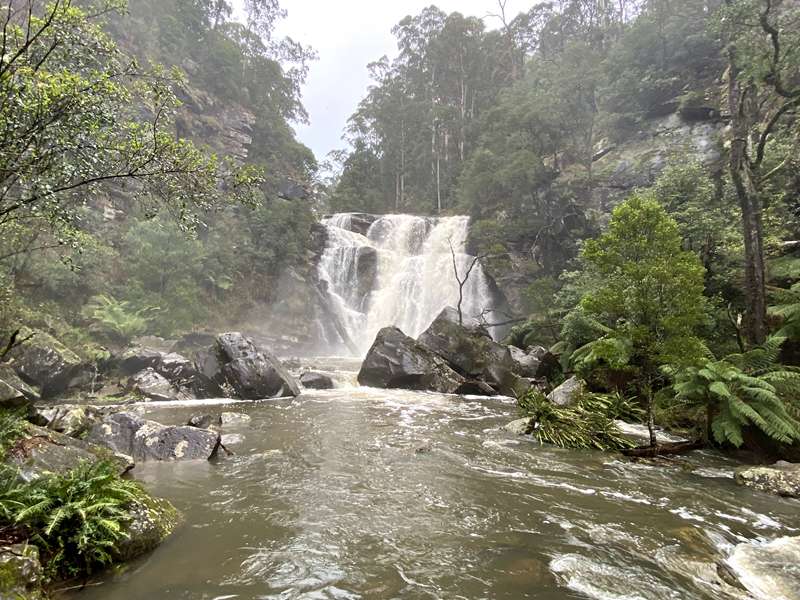 Barramunga - Stevensons Falls