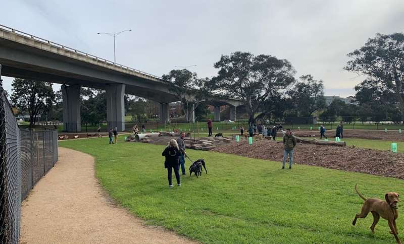 Barwon River Fenced Dog Park (Belmont)