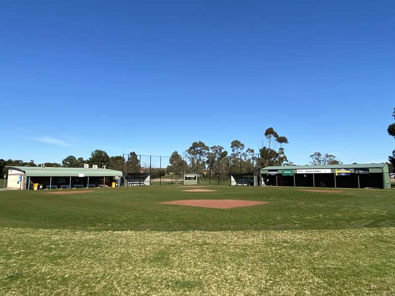 Berwick City Cougars Baseball Club (Berwick)