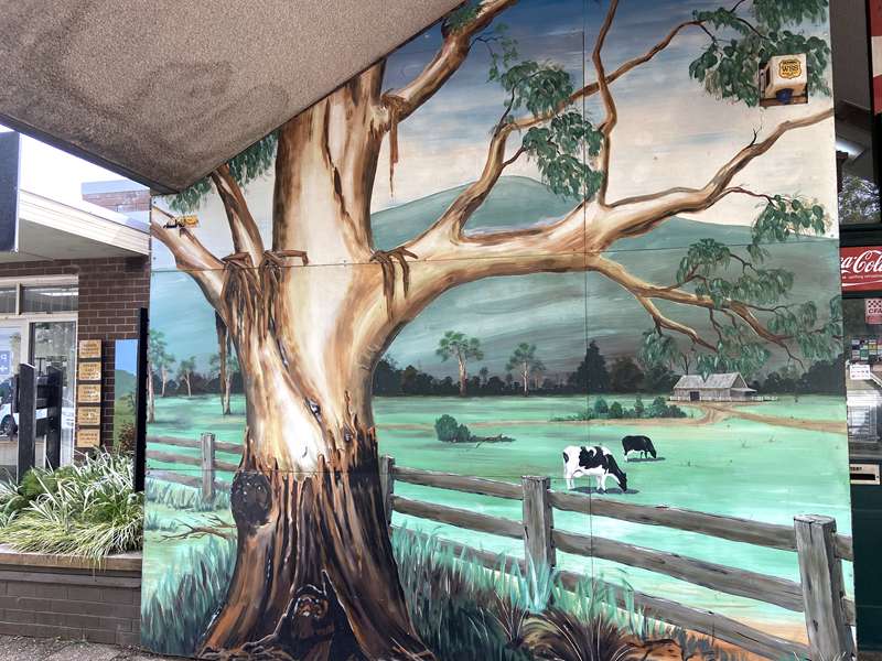 Baw Baw Shire Street and Public Art