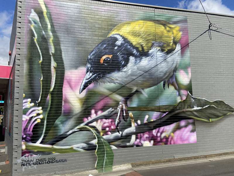 Baw Baw Shire Street and Public Art