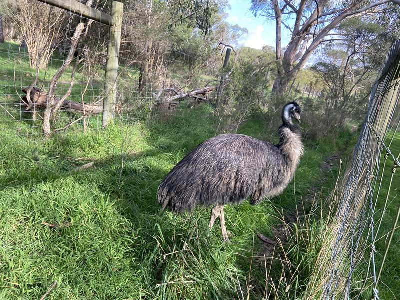 Bayles Fauna Park (Bayles)