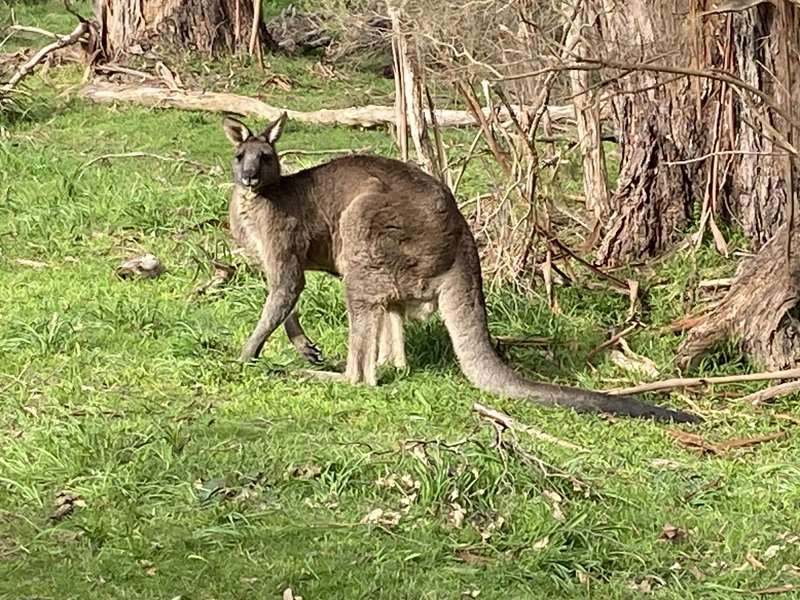 Bayles Fauna Park (Bayles)