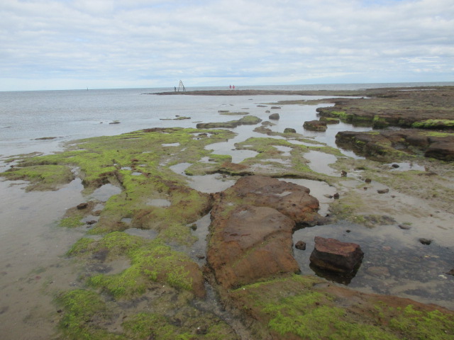 Ricketts Point Beaumaris Rockpool