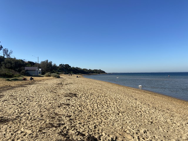 Beaumaris Life Saving Club Beach Dog Off Leash Area (Beaumaris)