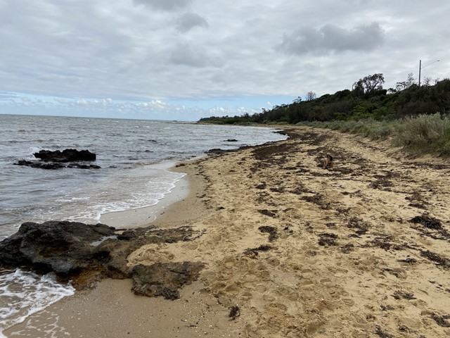 Beaumaris Yacht Club Beach Dog Off Leash Area (Beaumaris)