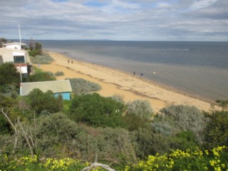 Beaumaris Yacht Club Beach