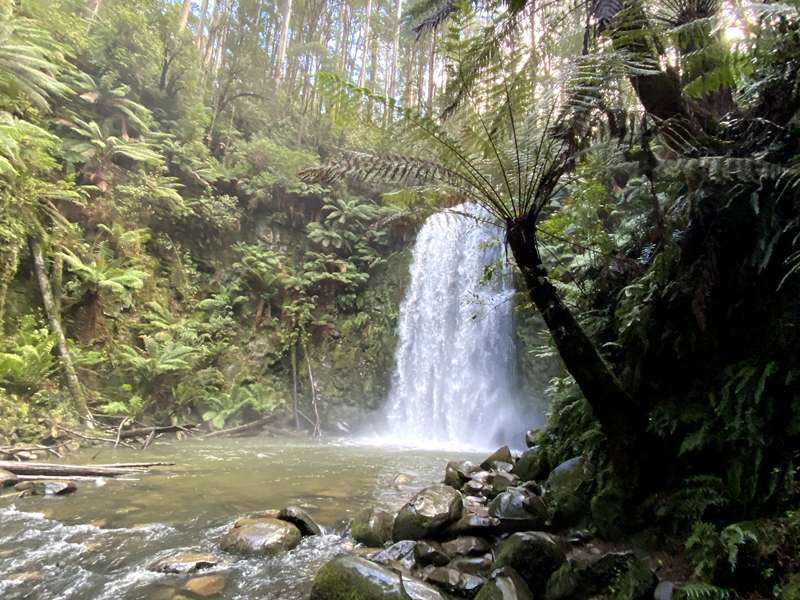 Beech Forest - Beauchamp Falls
