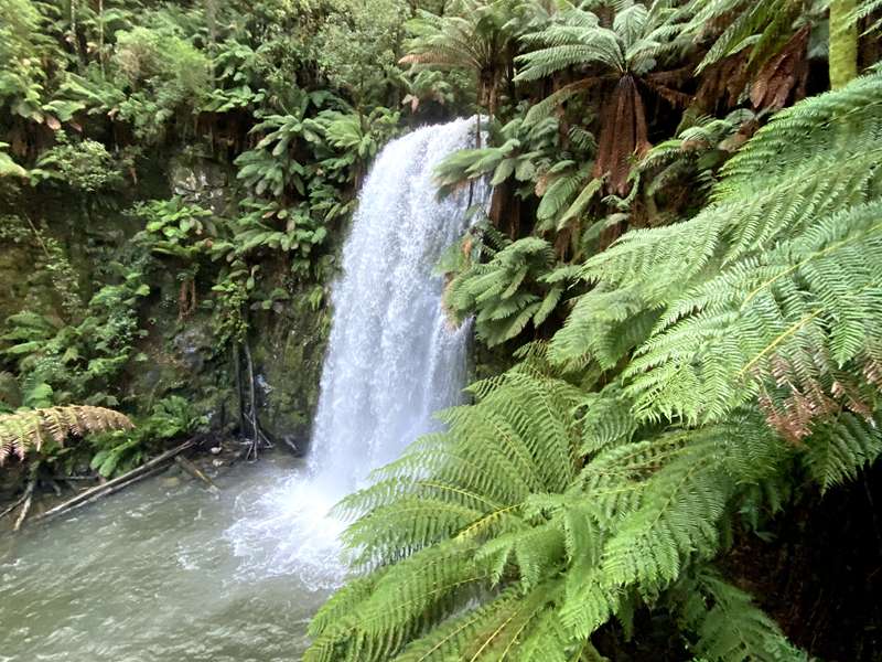 Beech Forest - Beauchamp Falls