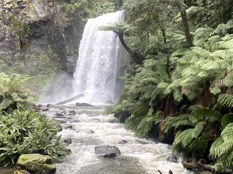 Beech Forest - Hopetoun Falls